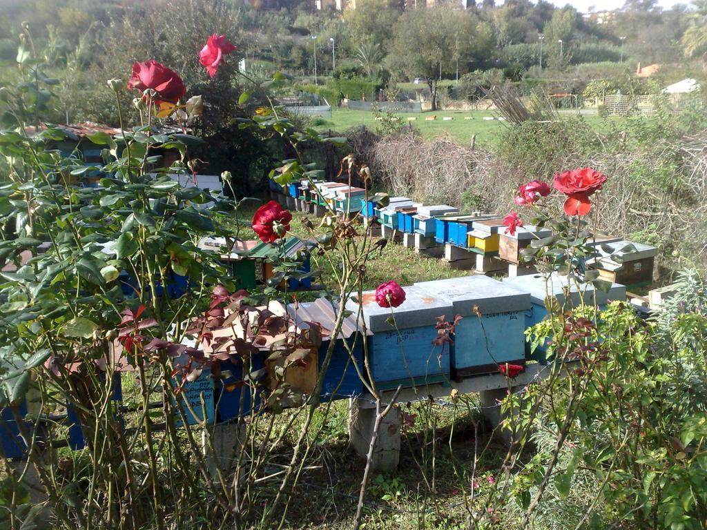 B&B Il Giardino Di Gabri Рим Экстерьер фото
