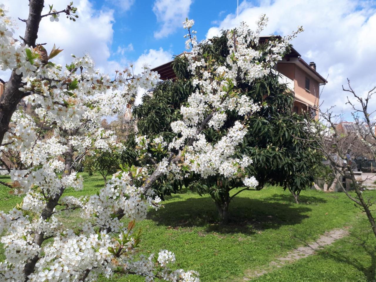 B&B Il Giardino Di Gabri Рим Экстерьер фото