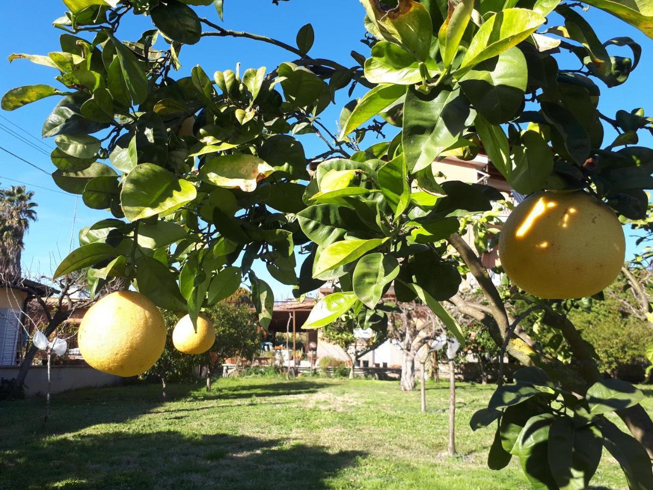 B&B Il Giardino Di Gabri Рим Экстерьер фото