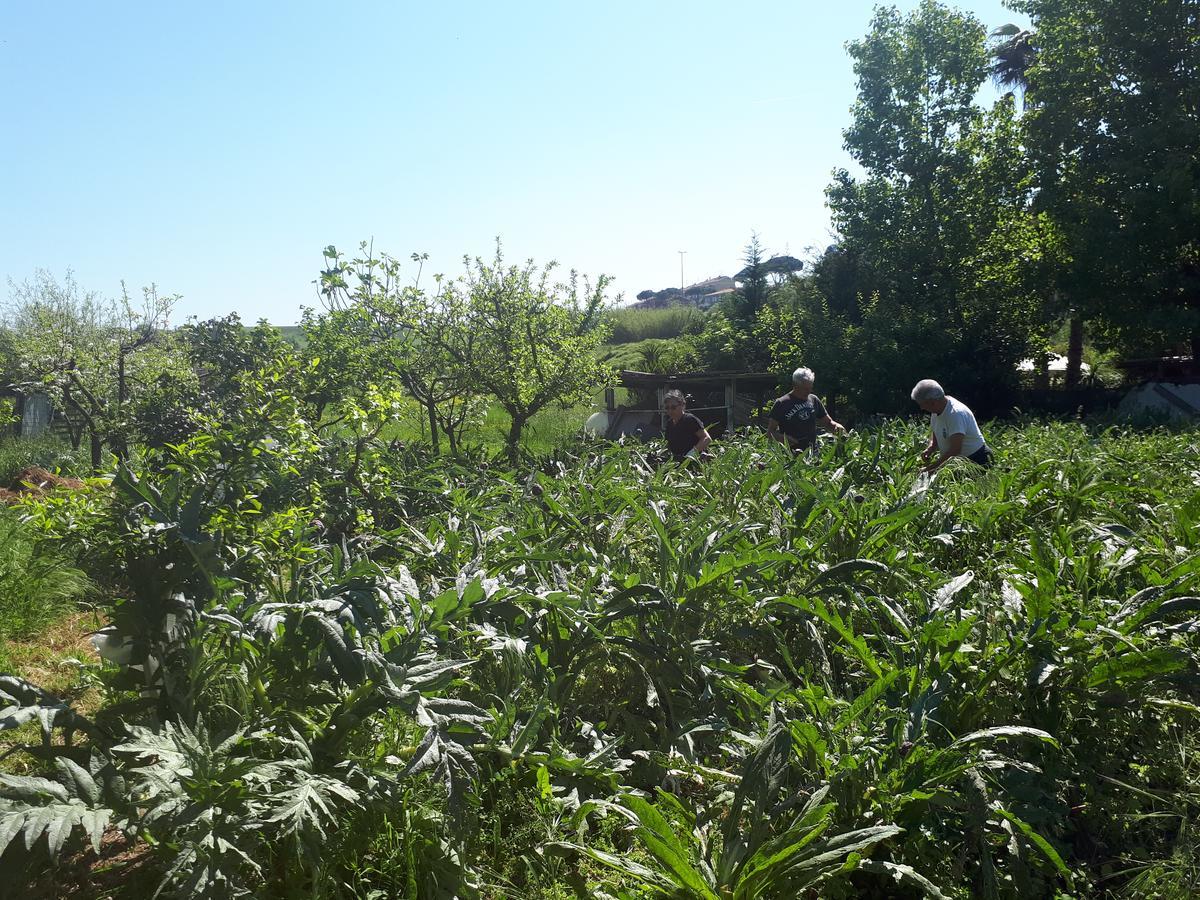 B&B Il Giardino Di Gabri Рим Экстерьер фото