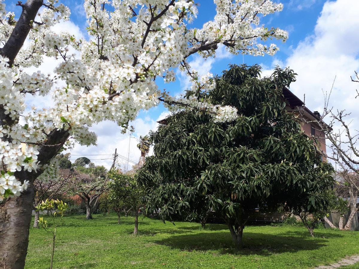 B&B Il Giardino Di Gabri Рим Экстерьер фото